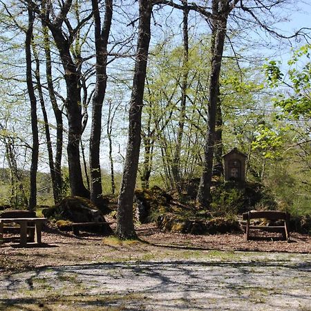 Hotel Oasi San Francesco - Casa per Ferie Chiusi della Verna Esterno foto